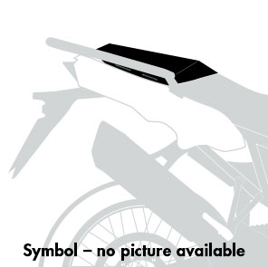 Sportrack schwarz für BMW R 1300 R (2025-)