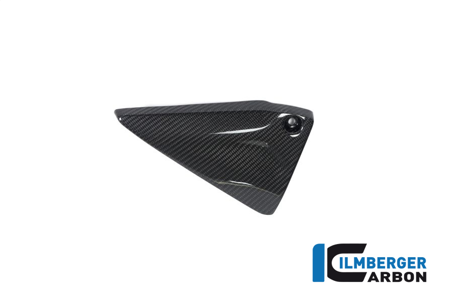 BMW_r1250gs_ilmberger_carbon_RDL_023_GS19_K_1 Rahmendreieckcover links BMW R 1250 GS / R 1250 R und RS