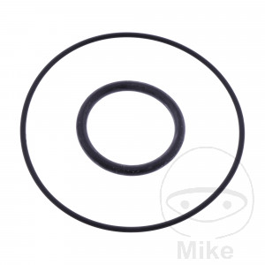 O-Ring Satz