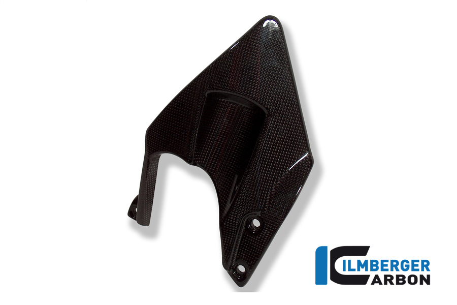 Kotflügel hinten Carbon