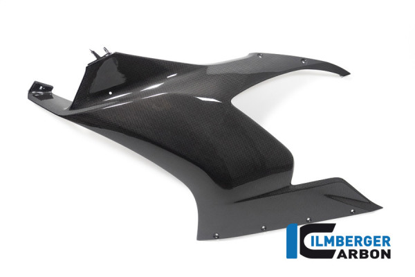 Carbon Verkleidungsseitenteil für Winglet vorbereitet links glanz für Ducati Panigale V2