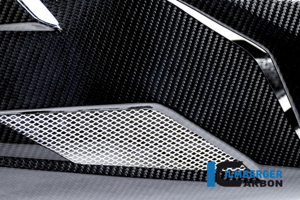 Carbon Motorspoiler für BMW S 1000 R 2014-2016