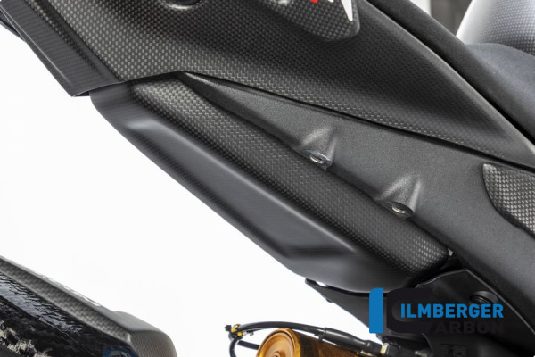 Carbon Tankschutz unten am Rahmenheck matt für Ducati V4 / V4 S / V4 R Racing
