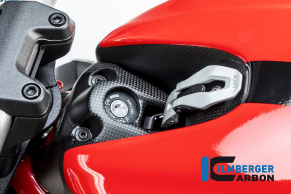 Carbon Zündschlossabdeckung matt für Ducati Monster 1200 /1200 S ab Baujahr 2017