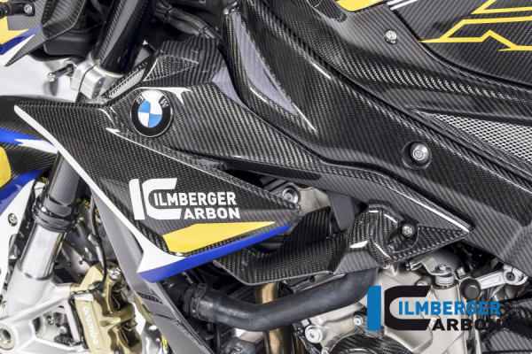 Carbon Wasserkühlerverkleidung / Plakettenträger links für BMW S1000R ab 2017