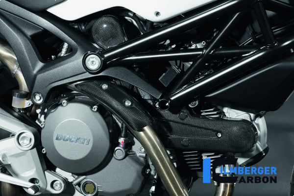 Carbon Vertikale Zahnriemenabdeckung für Ducati Monster 696 / 796 / Hypermotard 796
