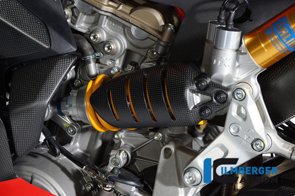 Carbon Federbeinabdeckung klein für Ducati Panigale 1199 / Racing