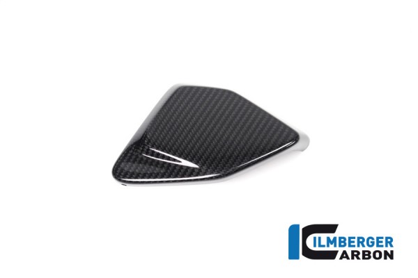 Carbon Abdeckung ESA Box für BMW R1250GS + Adventure