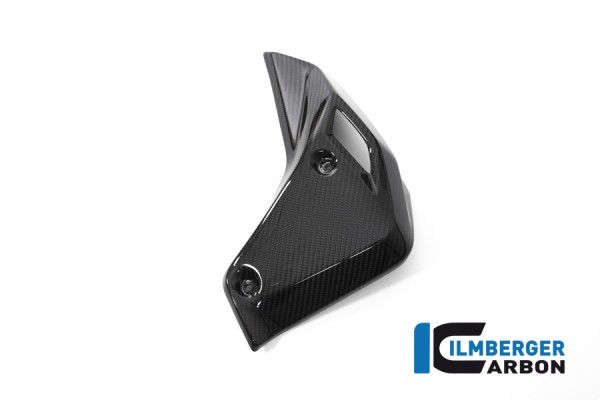 Carbon Wassserkühlerabdeckung Kühlerblende Verkleidung rechts für BMW R1250R
