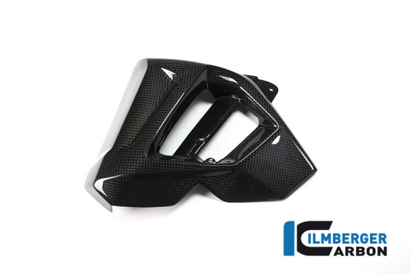 Carbon Kühlerverkleidung Kühlerabdeckung Kühler Blende links für BMW F800R ab 2015