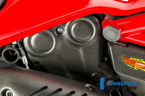 Carbon Zahnriemenabdeckung vertikal matte Oberfläche für Ducati Monster 1200 / R / S / Monster 821