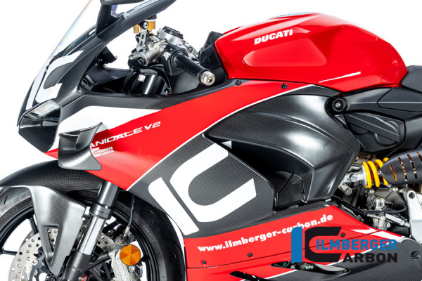 Carbon Verkleidungsseitenteil für Winglet vorbereitet links matt für Ducati Panigale V2
